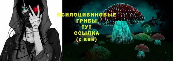 дмт Тихвин