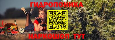 метадон Гатчина