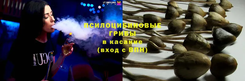 это формула  Северодвинск  Галлюциногенные грибы Cubensis 