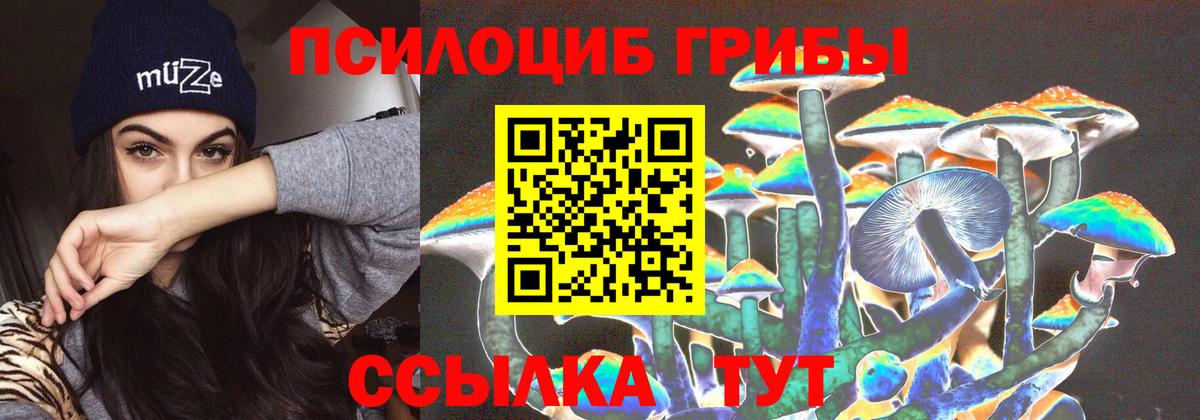 Псилоцибиновые грибы мухоморы Северодвинск