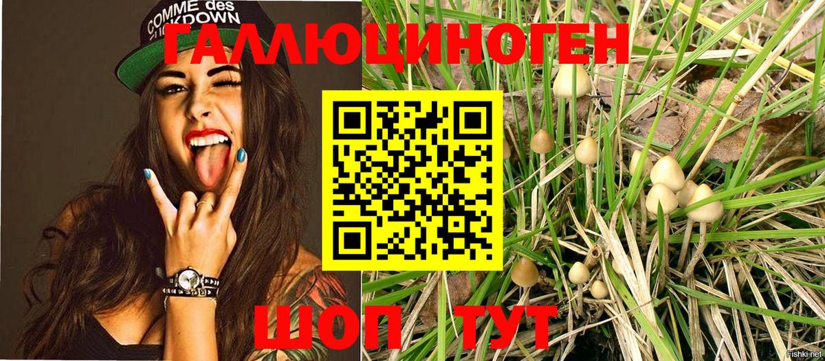 Галлюциногенные грибы MAGIC MUSHROOMS Северодвинск