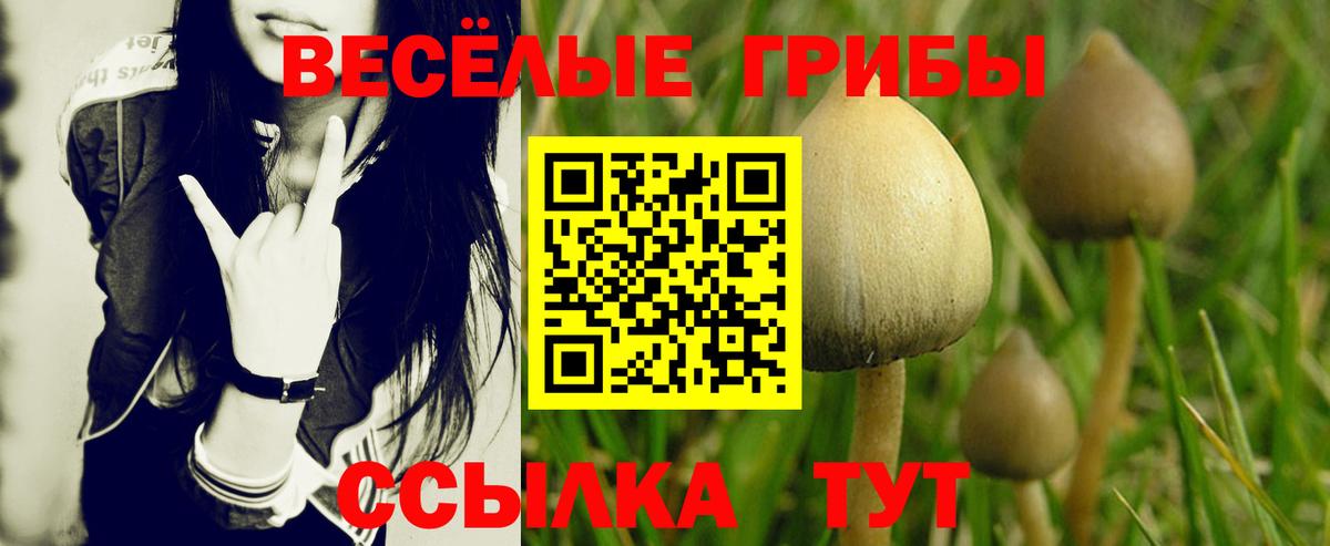 Северодвинск  Псилоцибиновые грибы Psilocybe  Вход с VPN  Галлюциногенные грибы MAGIC MUSHROOMS 